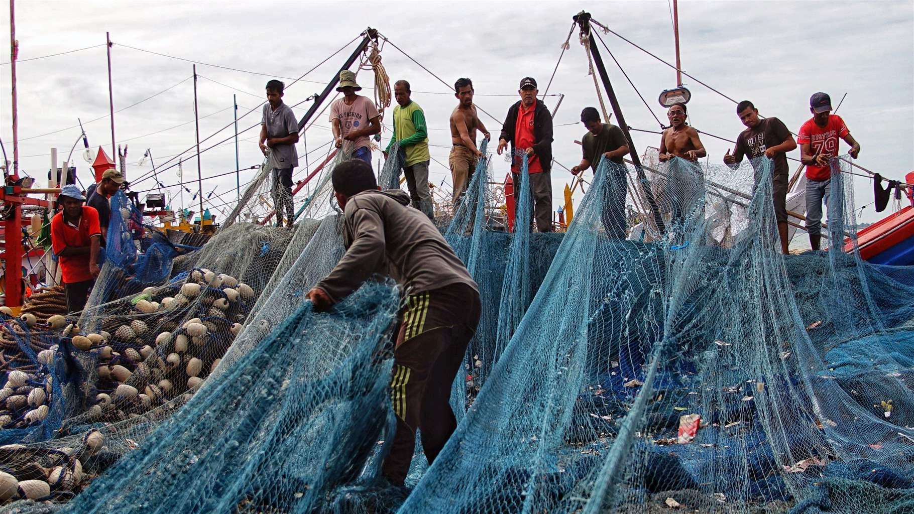 “Illegal Fishing and Its Impact on Ocean Conservation Efforts”